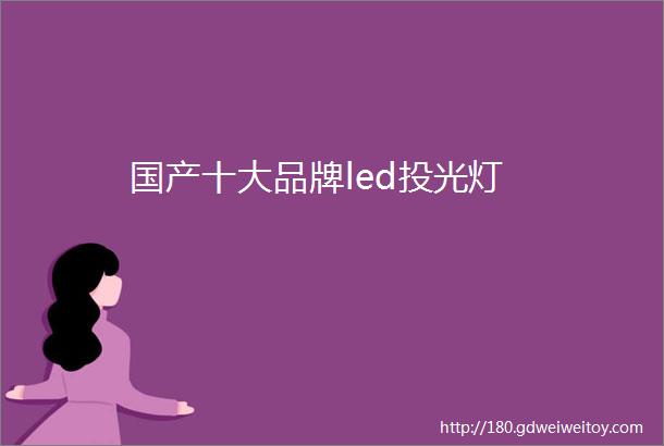 国产十大品牌led投光灯