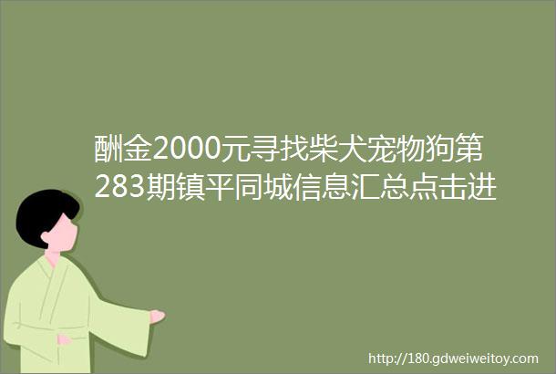 酬金2000元寻找柴犬宠物狗第283期镇平同城信息汇总点击进入免费发布